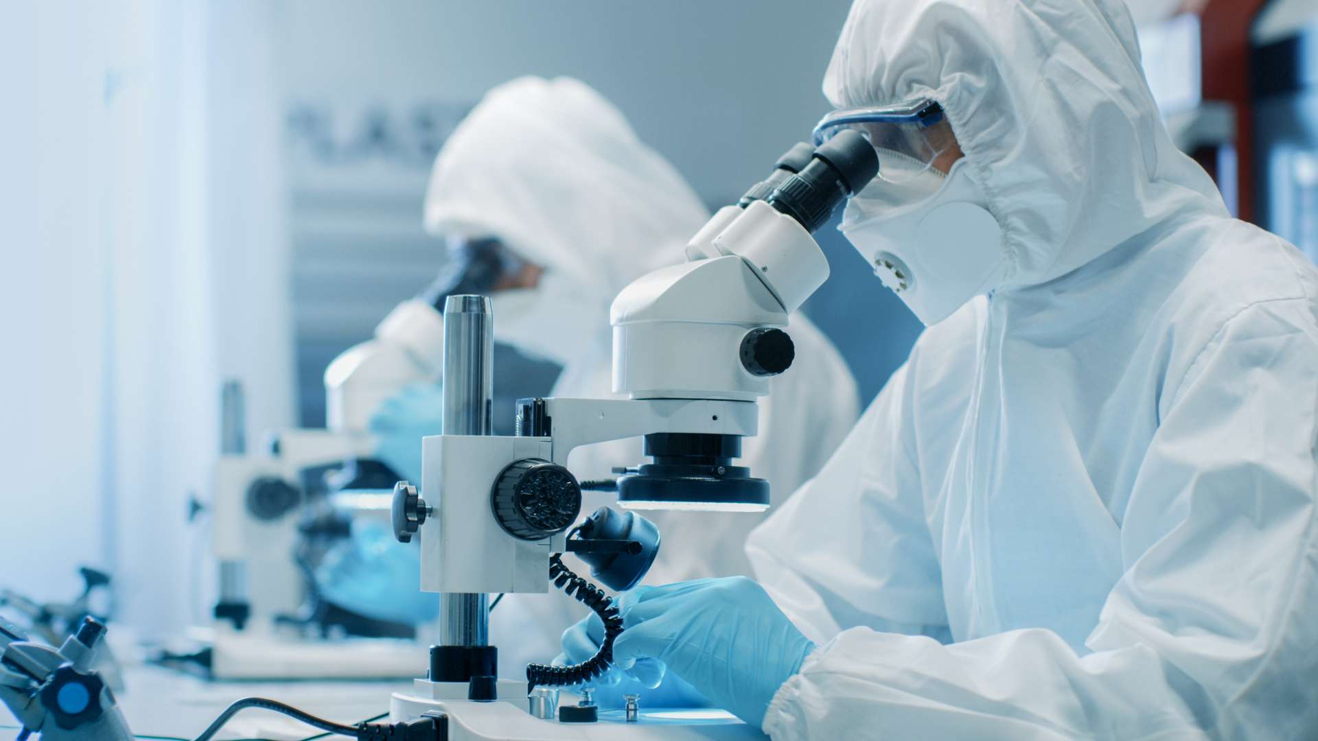 STEMCELL